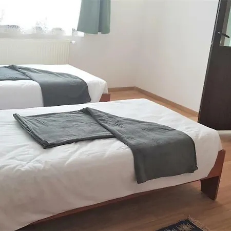 Проживання в сім'ї Coroian House *