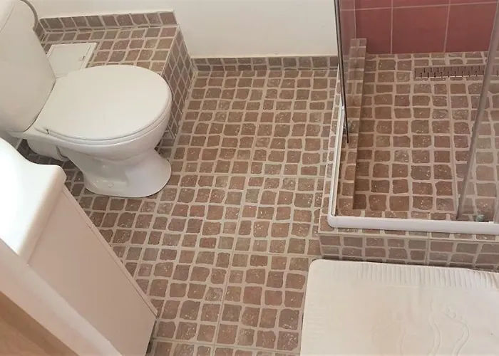 Проживання в сім'ї Coroian House *