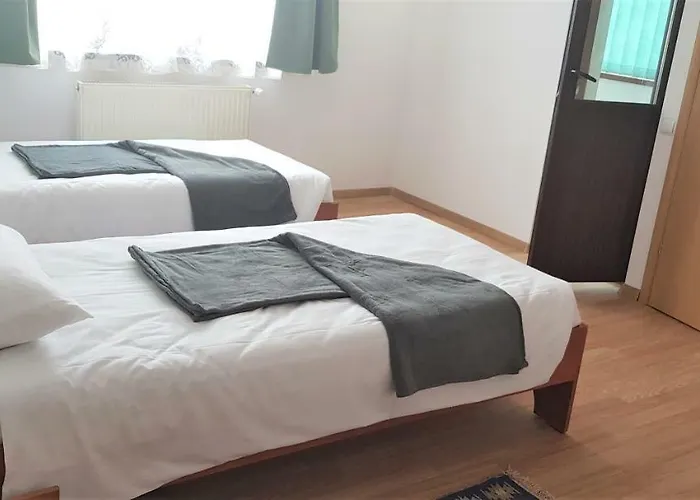 Проживання в сім'ї Coroian House *