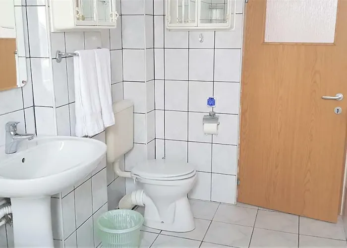 Проживання в сім'ї Coroian House *